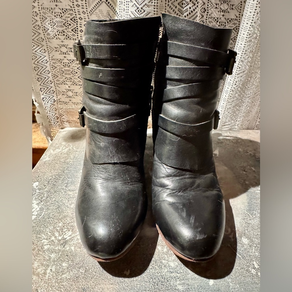 Freebird by Steven Black Hero